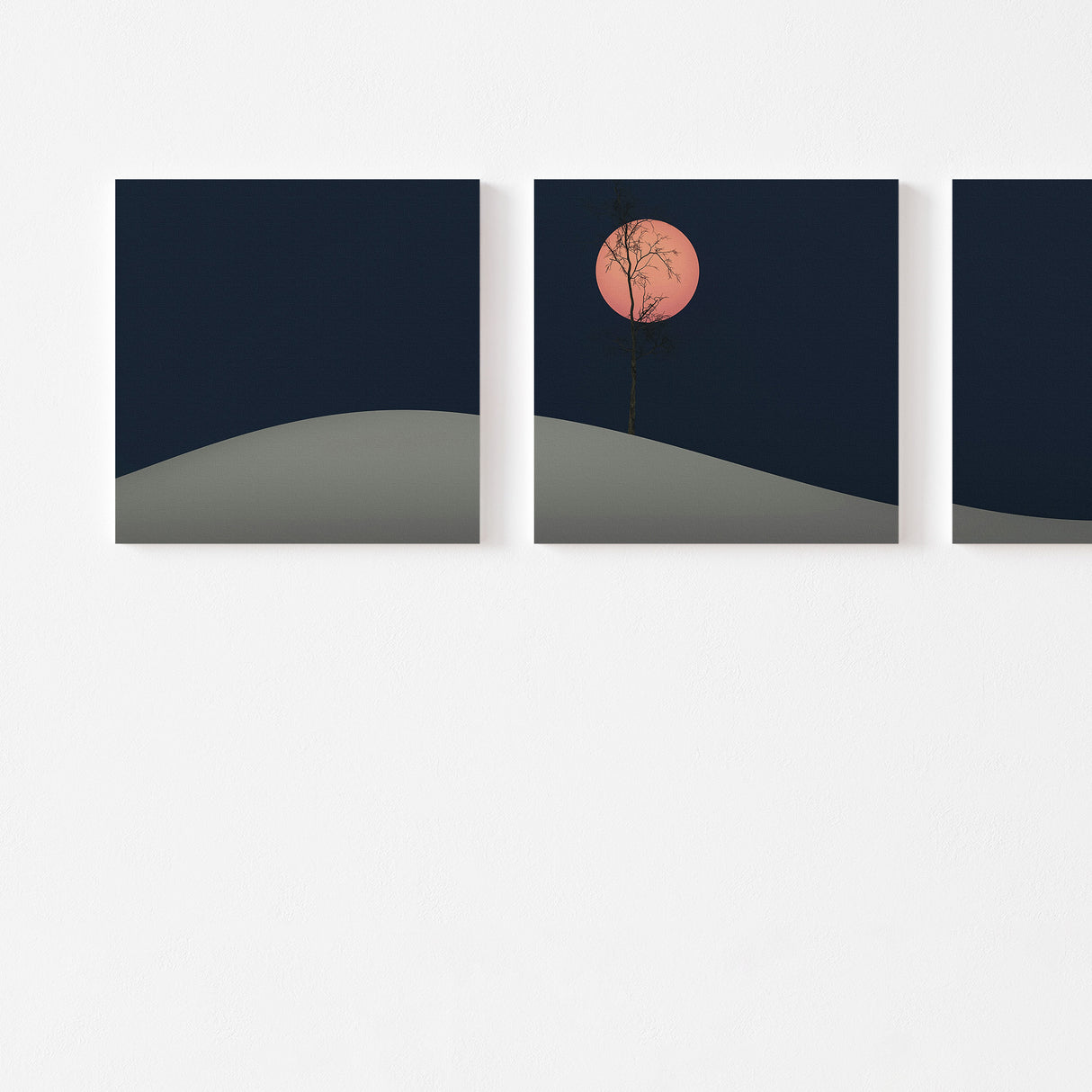 脳をクールダウン|静寂の月光