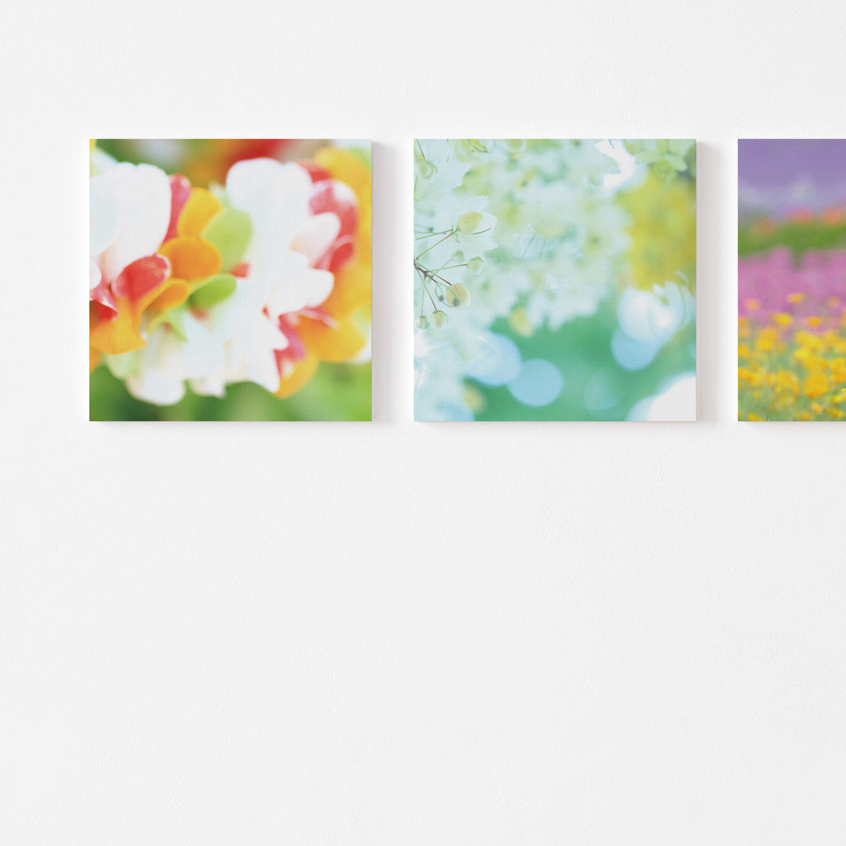 深呼吸するように視界がひらく – 花と光のスイッチアート