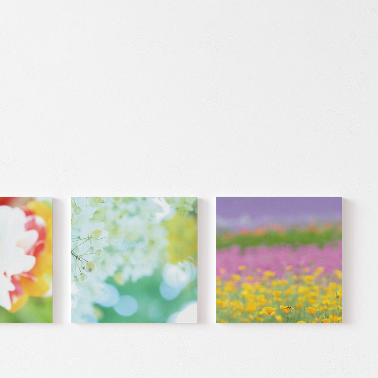 深呼吸するように視界がひらく – 花と光のスイッチアート