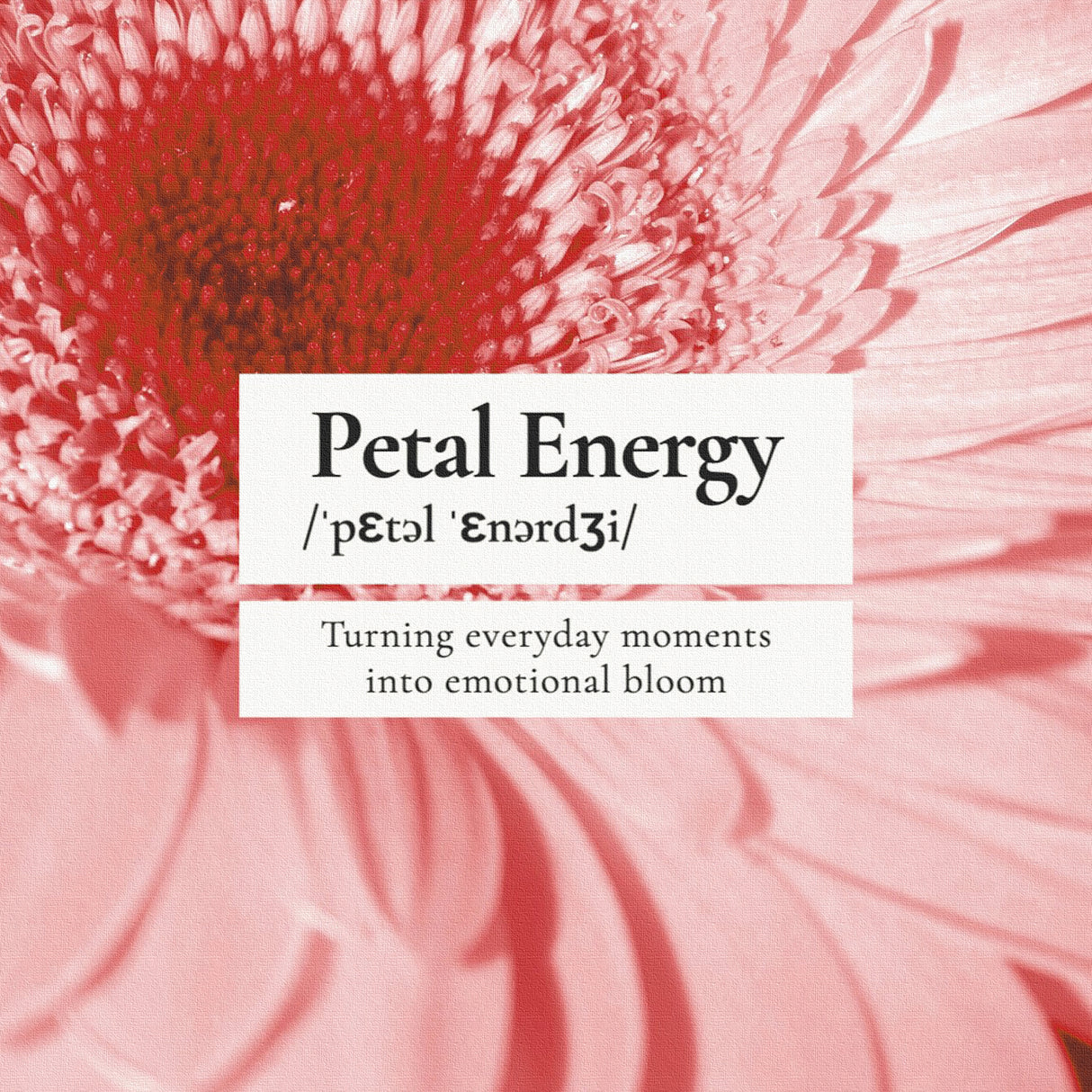 Malibu wall art interior goods art panel canvas popa-1803-021