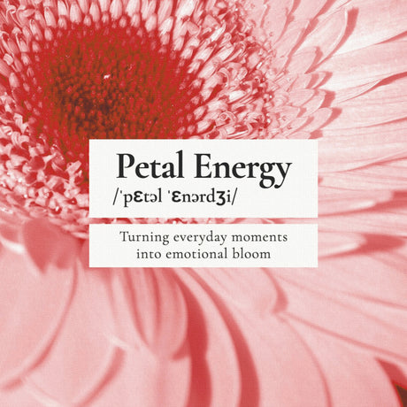 毎朝の"よしっ"を静かに押してくれる|ペタル・エナジー