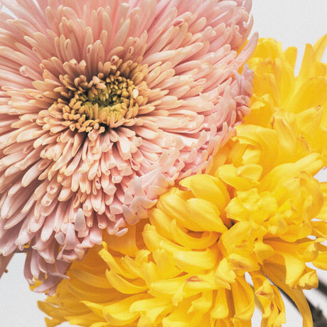 Malibu wall art interior goods art panel canvas popa-1803-021