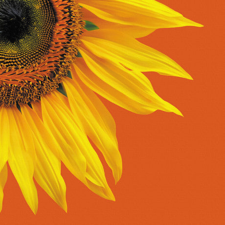 Malibu wall art interior goods art panel canvas popa-1803-021