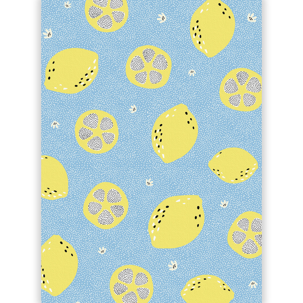 清涼感と活力をもたらす、ブルーとイエロー