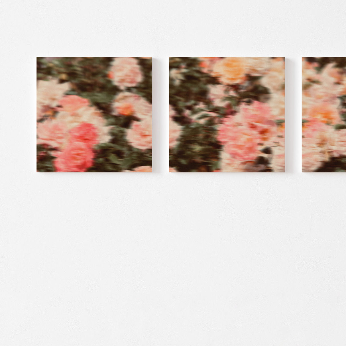 花に包まれるような温もりが、心にそっと明るさを差し込む – ブルーミング・ソフトグレーズ – Blooming Soft Glaze