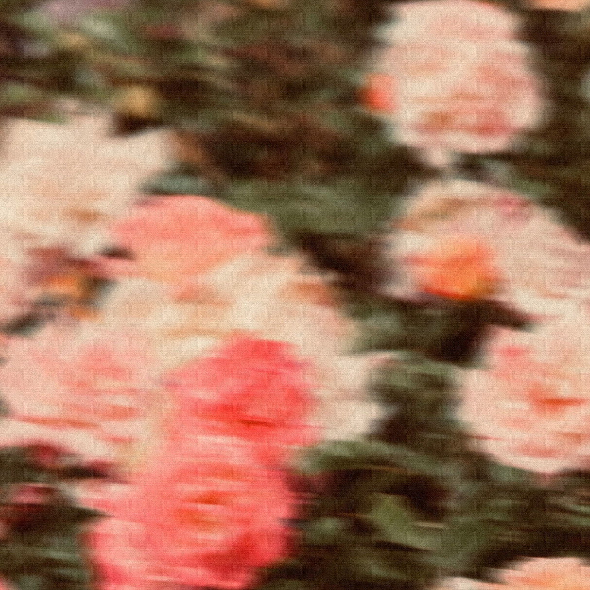 花に包まれるような温もりが、心にそっと明るさを差し込む – ブルーミング・ソフトグレーズ – Blooming Soft Glaze