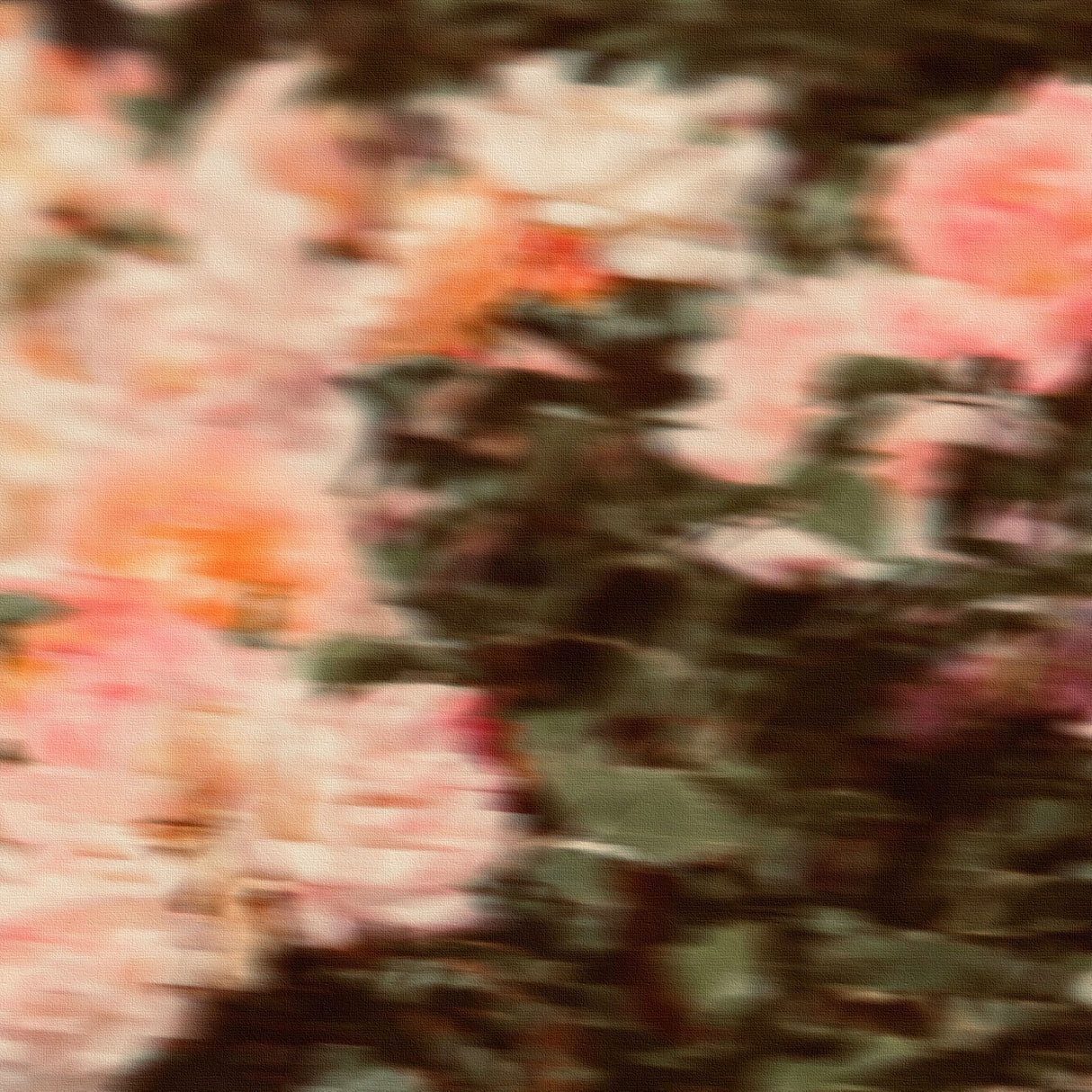 花に包まれるような温もりが、心にそっと明るさを差し込む – ブルーミング・ソフトグレーズ – Blooming Soft Glaze