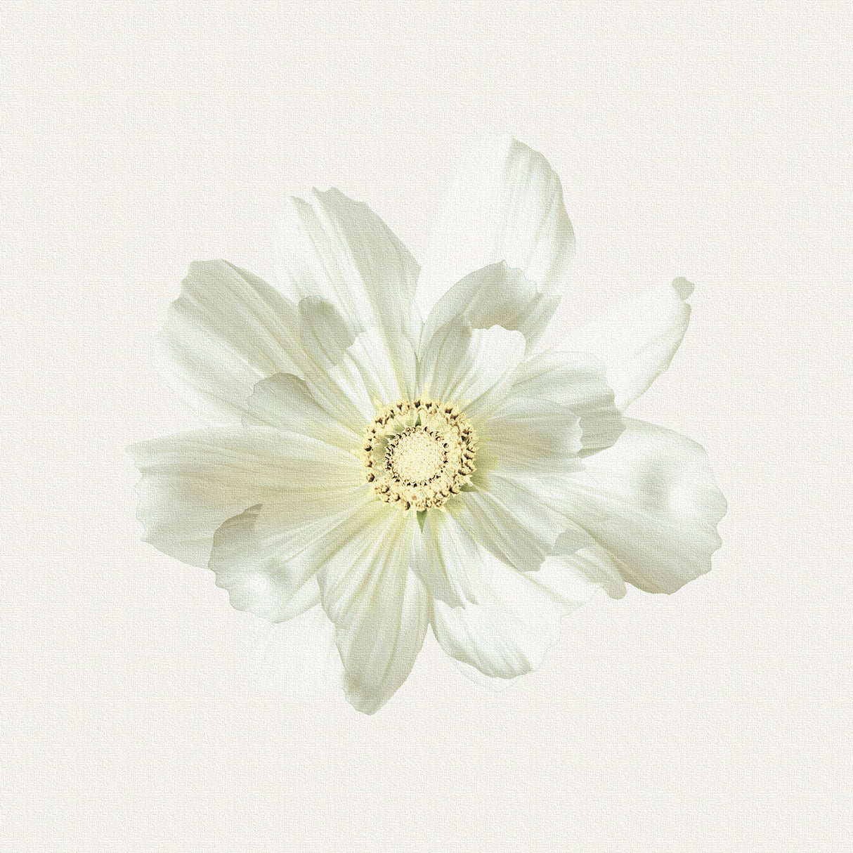 Malibu wall art interior goods art panel canvas popa-1803-021