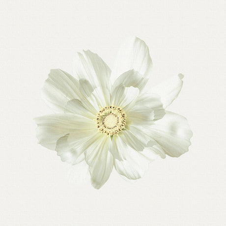 Malibu wall art interior goods art panel canvas popa-1803-021