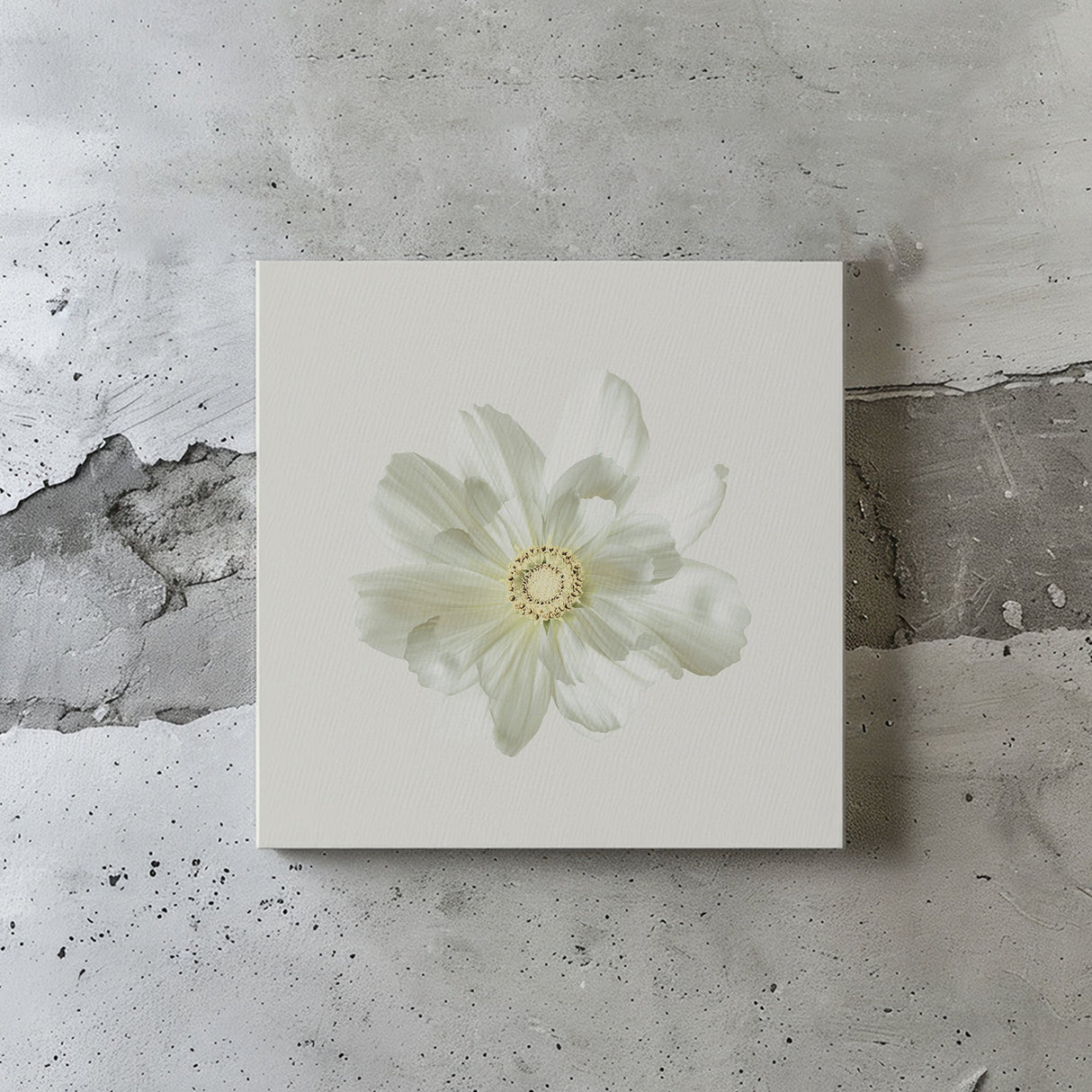 Malibu wall art interior goods art panel canvas popa-1803-021