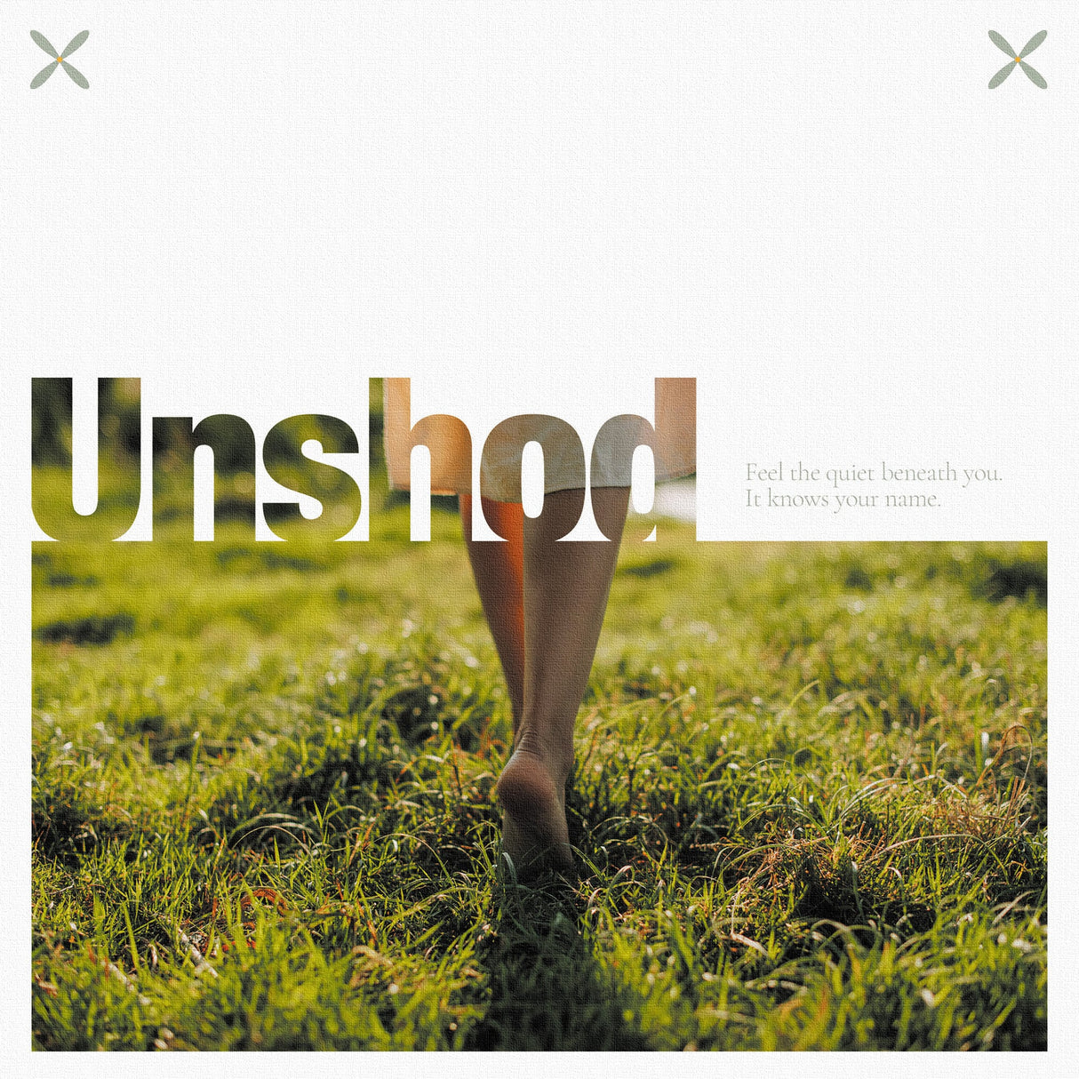 自然とつながる静かな時間を切り取る