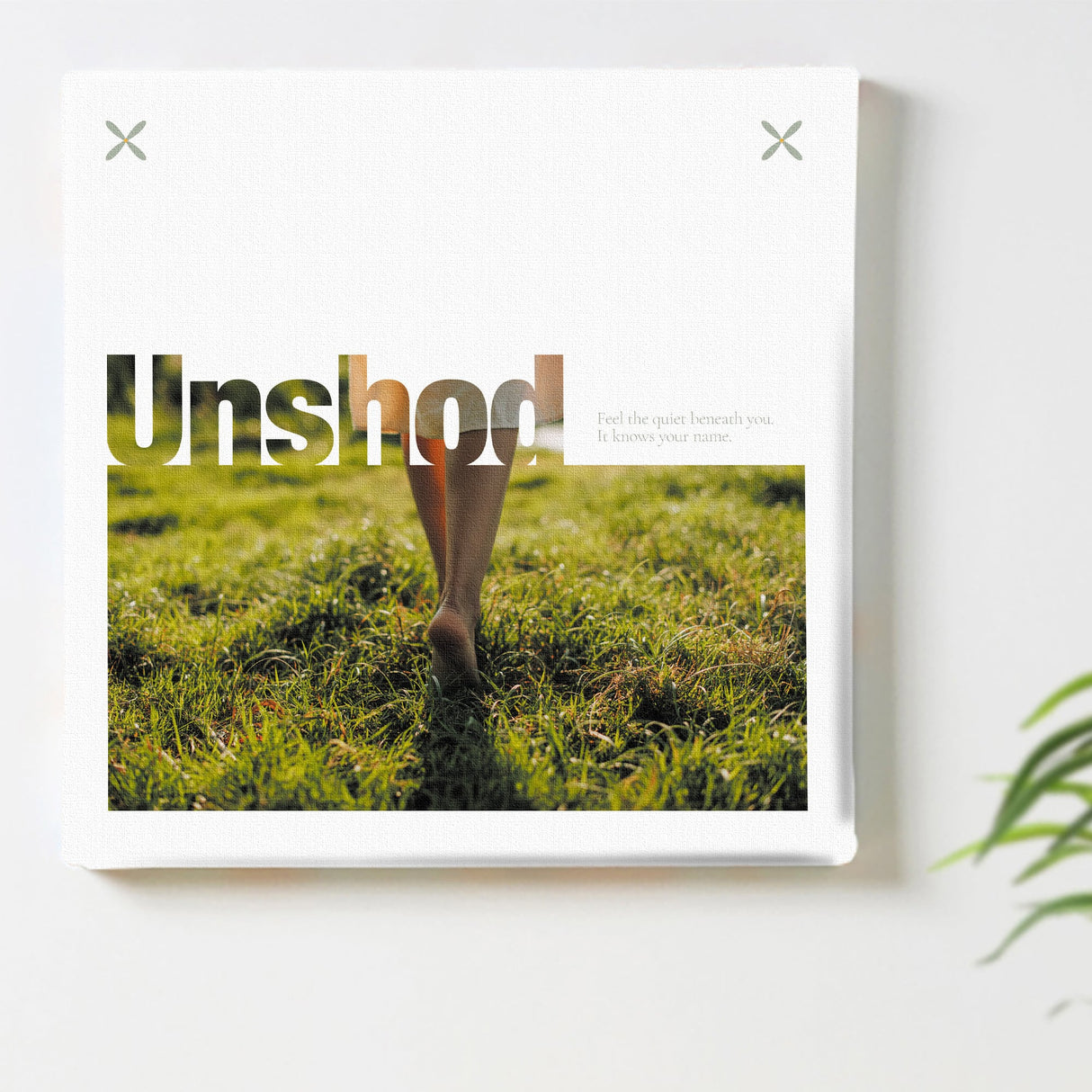 自然とつながる静かな時間を切り取る