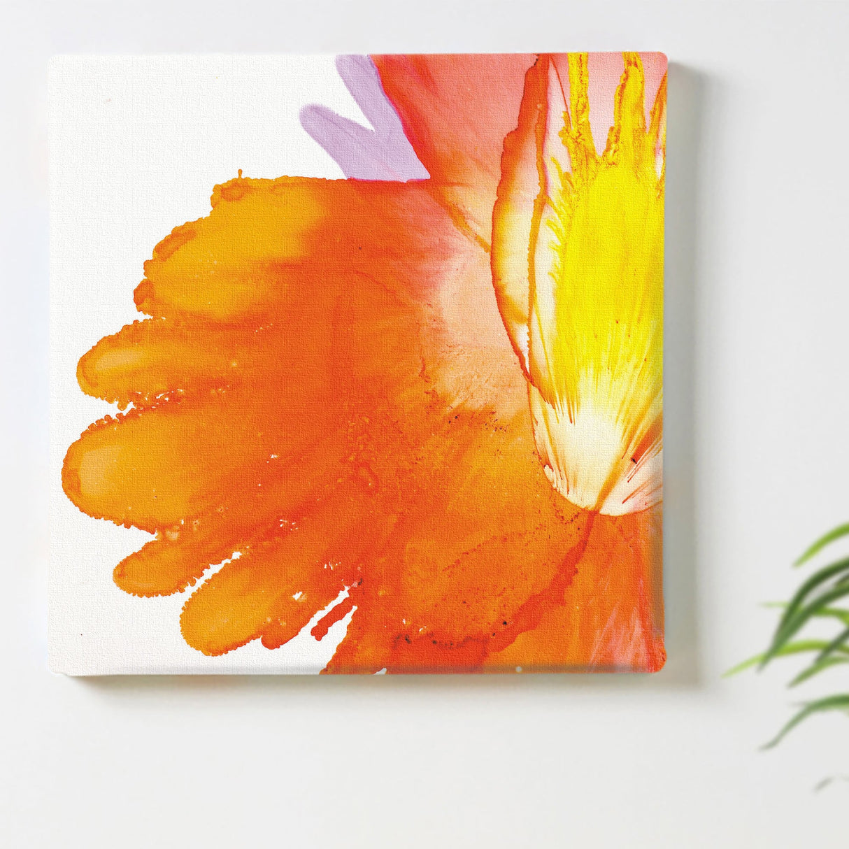 気分をそっと照らす、咲きたてのエネルギー|朝日に咲くこころの花