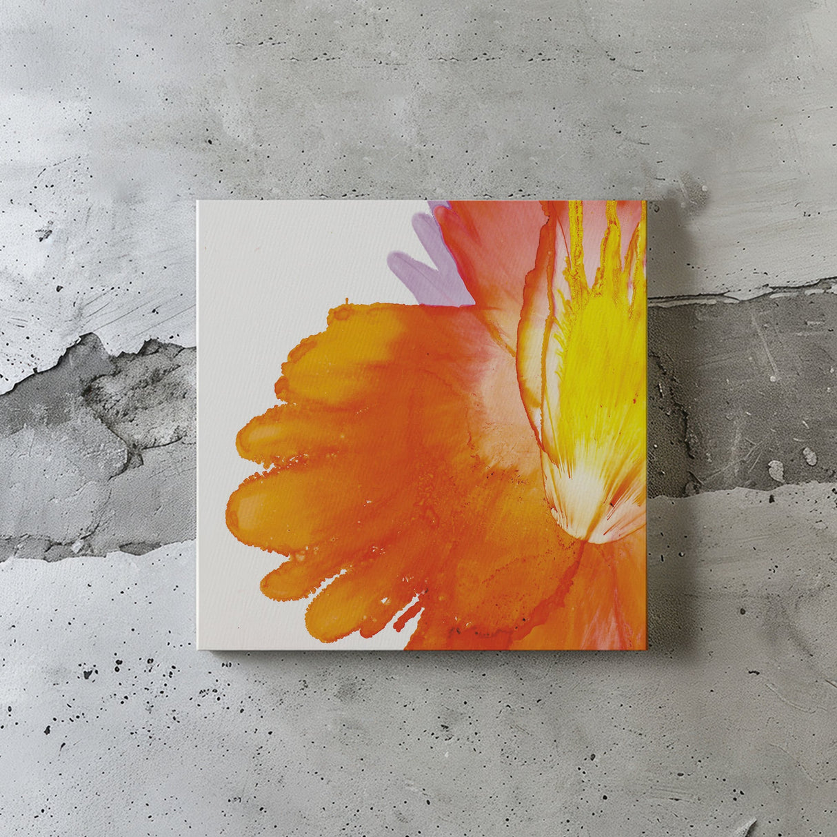 気分をそっと照らす、咲きたてのエネルギー|朝日に咲くこころの花