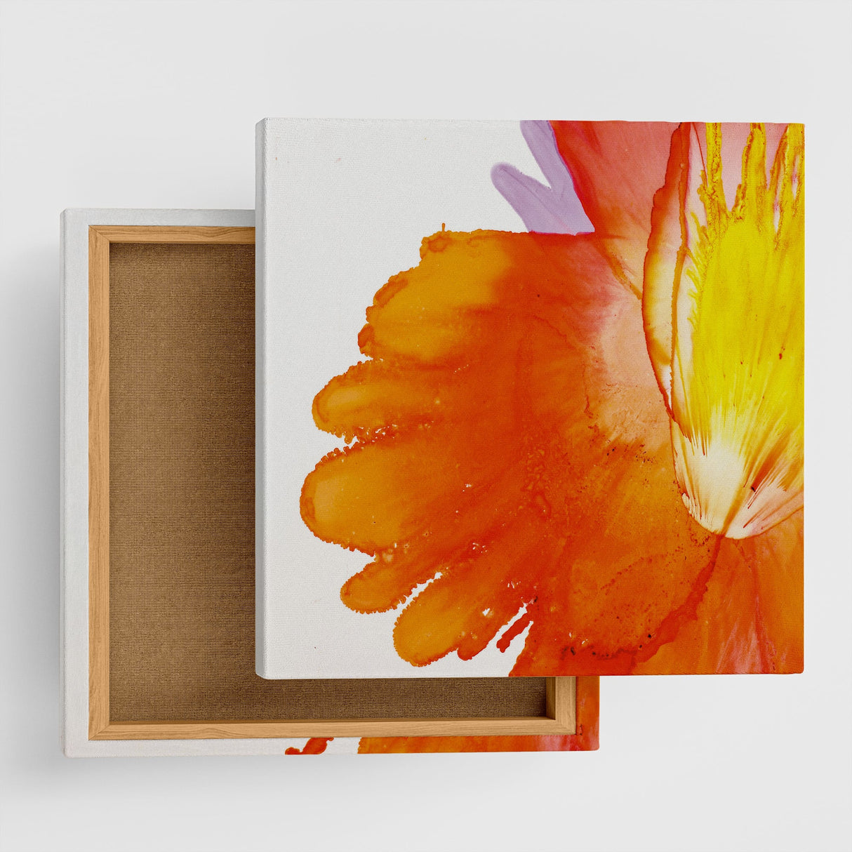 気分をそっと照らす、咲きたてのエネルギー|朝日に咲くこころの花