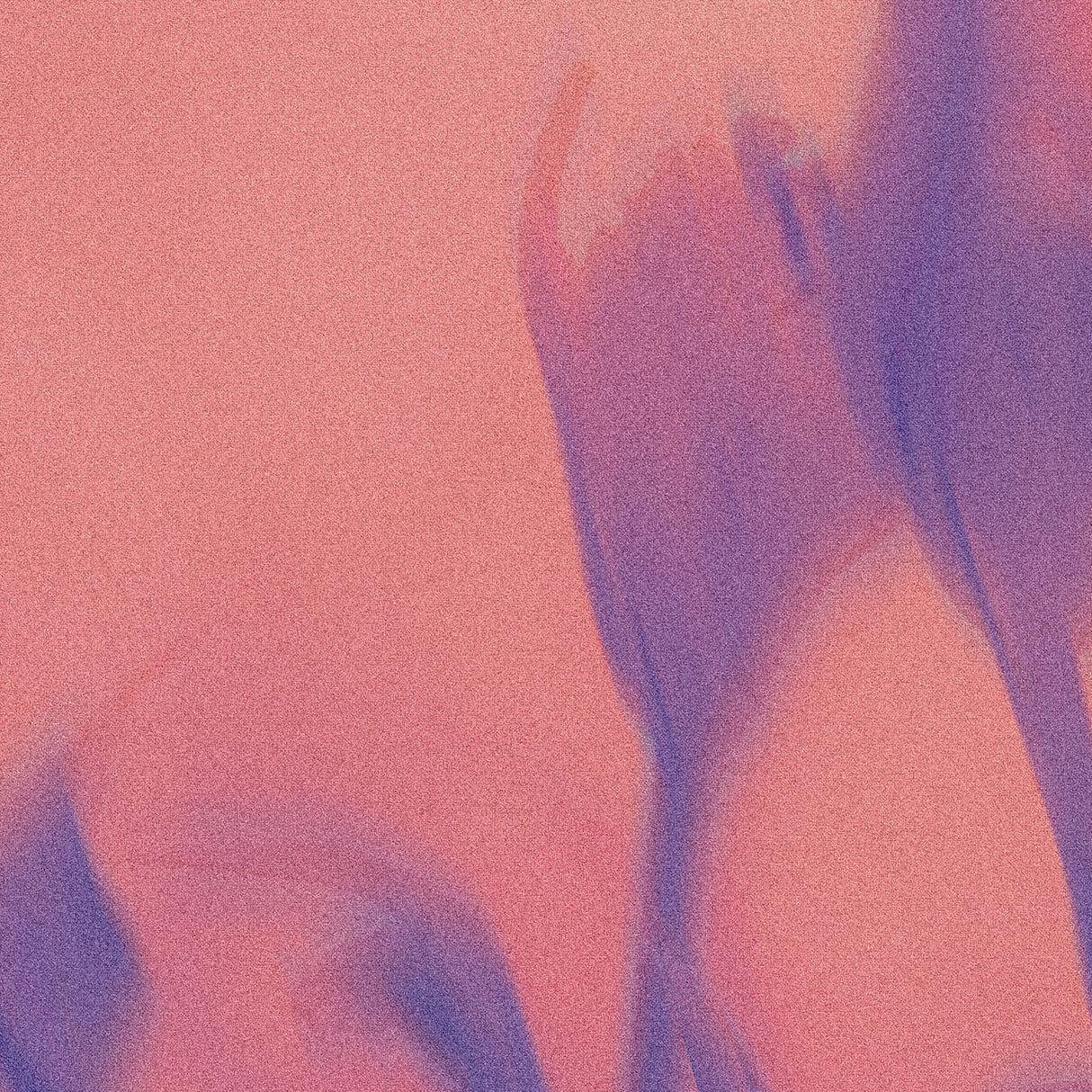 静かに自分とつながり、やさしさで一日をはじめる – ゆらぎの輪郭 – Gentle Flow Form