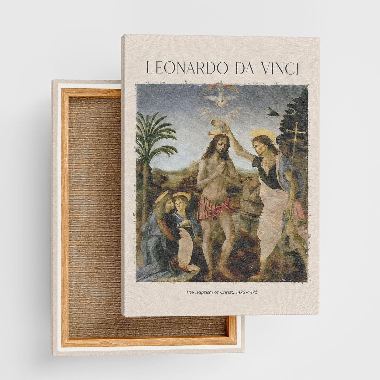 レオナルド・ダ・ヴィンチ アートパネル/キャンバスボード DAVI-2404-01