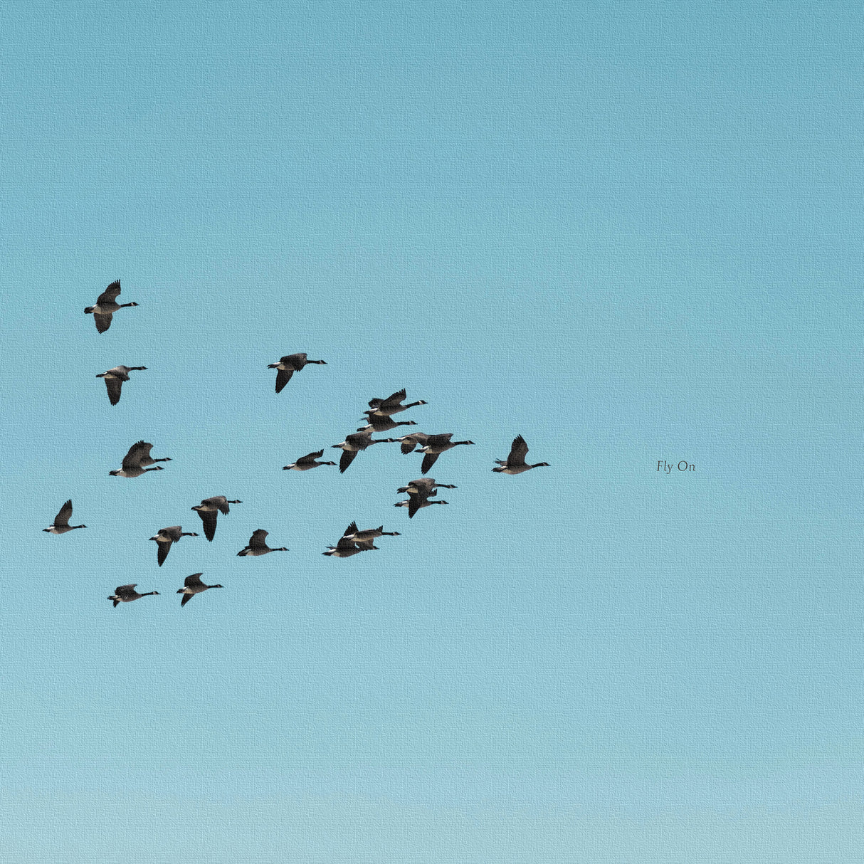 Malibu wall art interior goods art panel canvas popa-1803-021