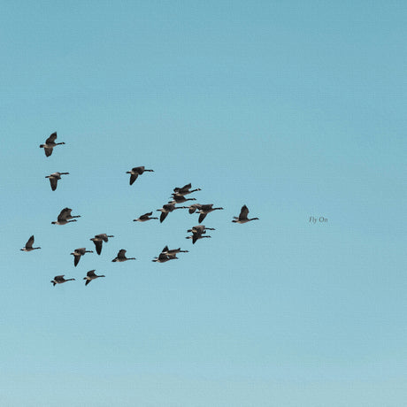 Malibu wall art interior goods art panel canvas popa-1803-021