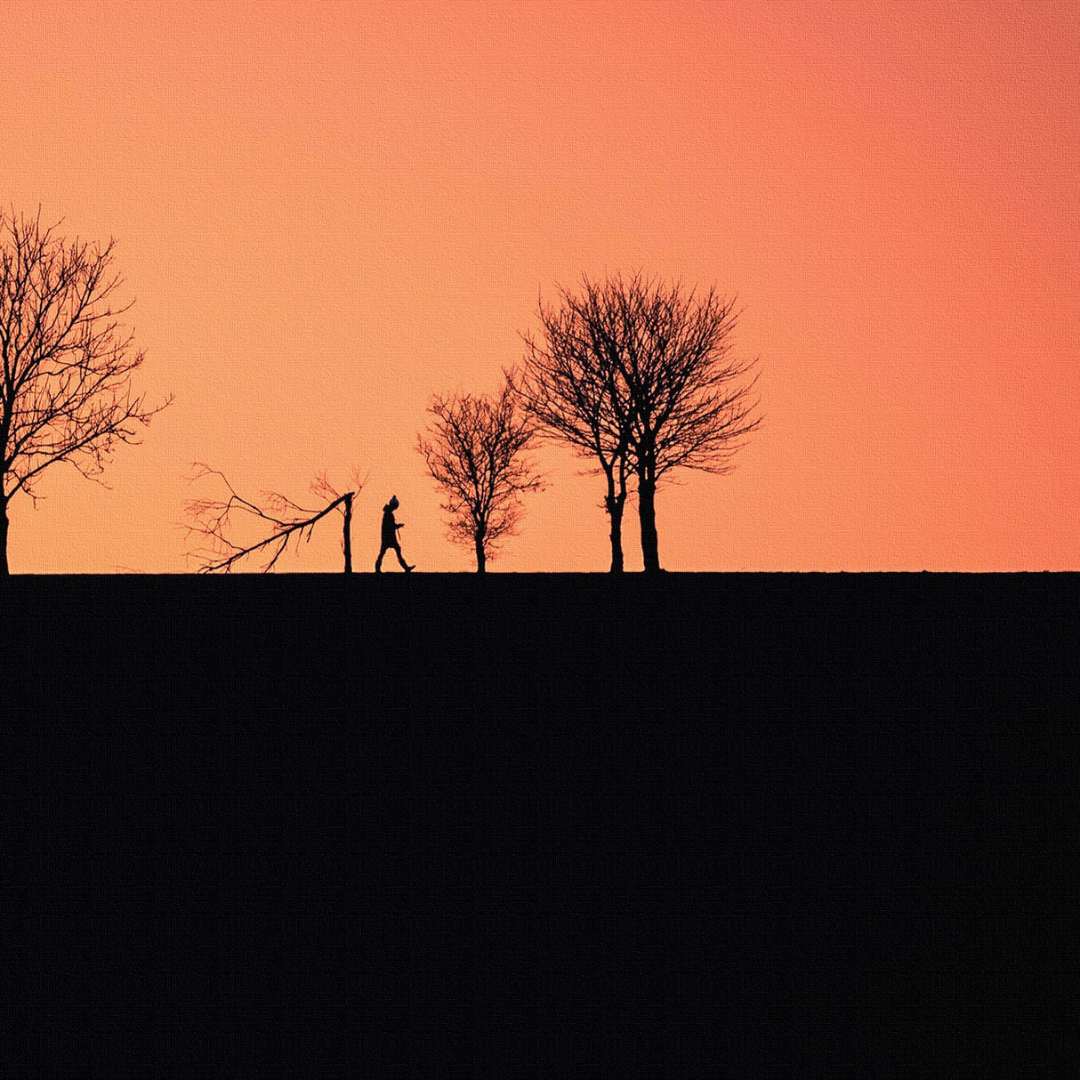 安心感とエネルギーを与える色彩 | 夕暮れの輪郭 – Silhouette at Dusk