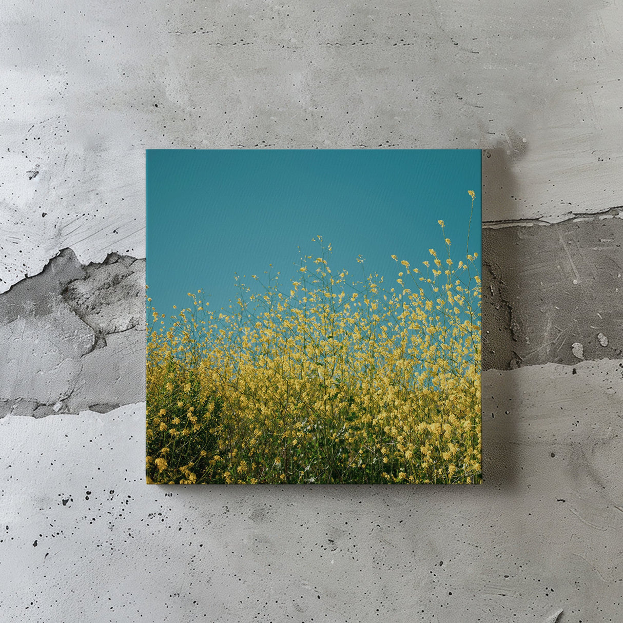 気持ちをぱっと明るく切り替えるスイッチ | 空と花のアートセット