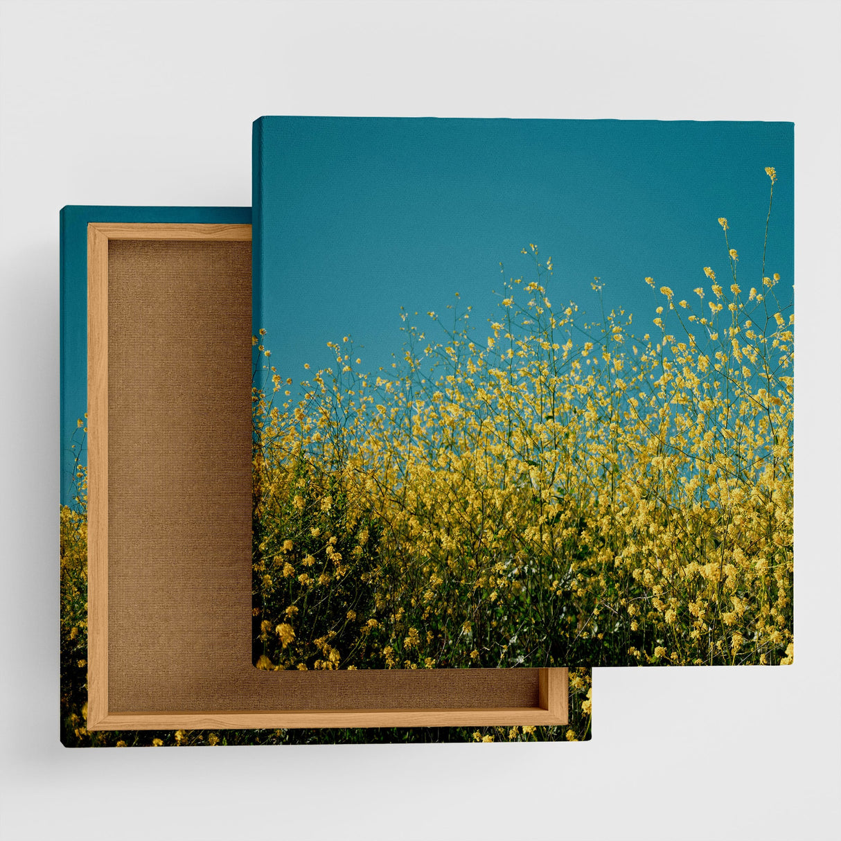 気持ちをぱっと明るく切り替えるスイッチ | 空と花のアートセット