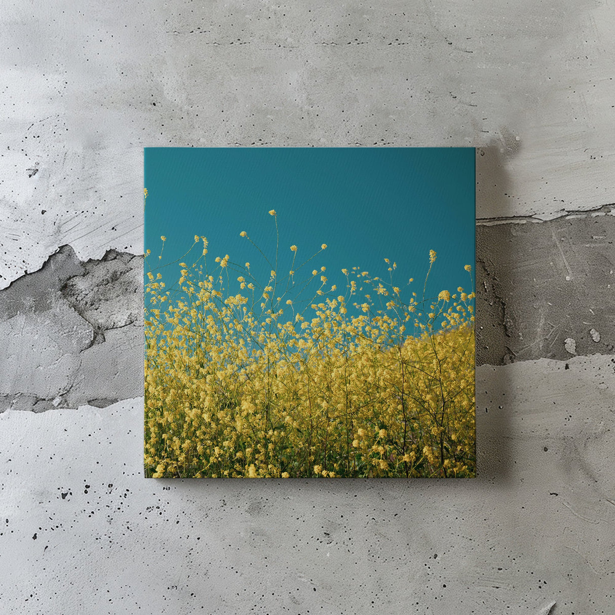 気持ちをぱっと明るく切り替えるスイッチ | 空と花のアートセット