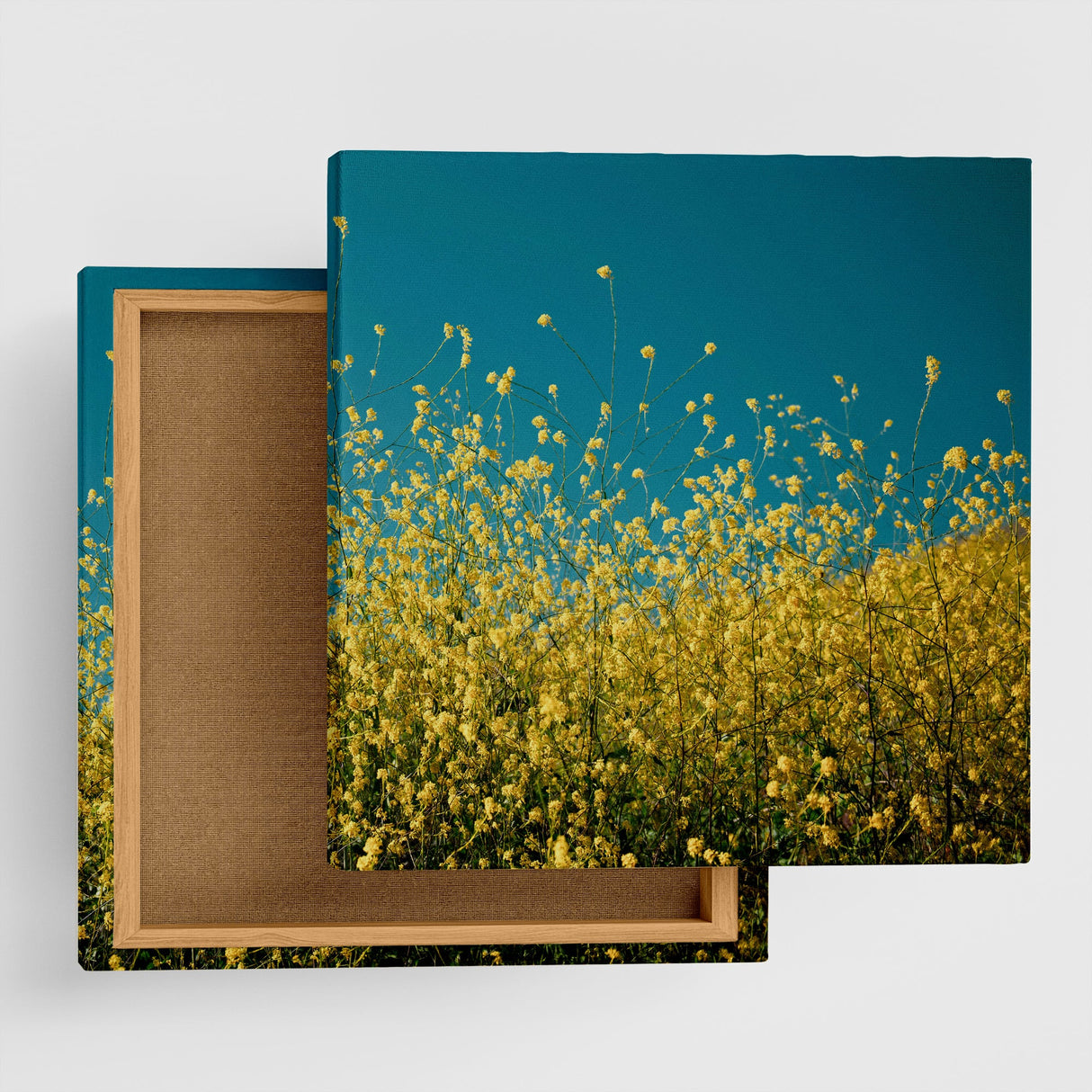 気持ちをぱっと明るく切り替えるスイッチ | 空と花のアートセット