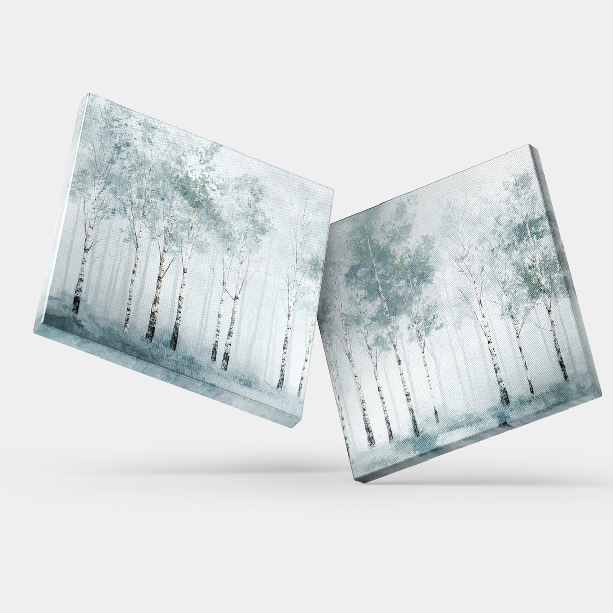 気持ちをしずめ、雑念を手放すスイッチ | 静寂の森 – Serenity Forest