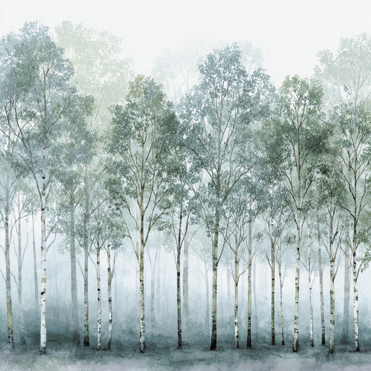 やわらかな集中の時間を | 静寂の森(Forest of Stillness)