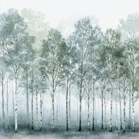 やわらかな集中の時間を | 静寂の森(Forest of Stillness)