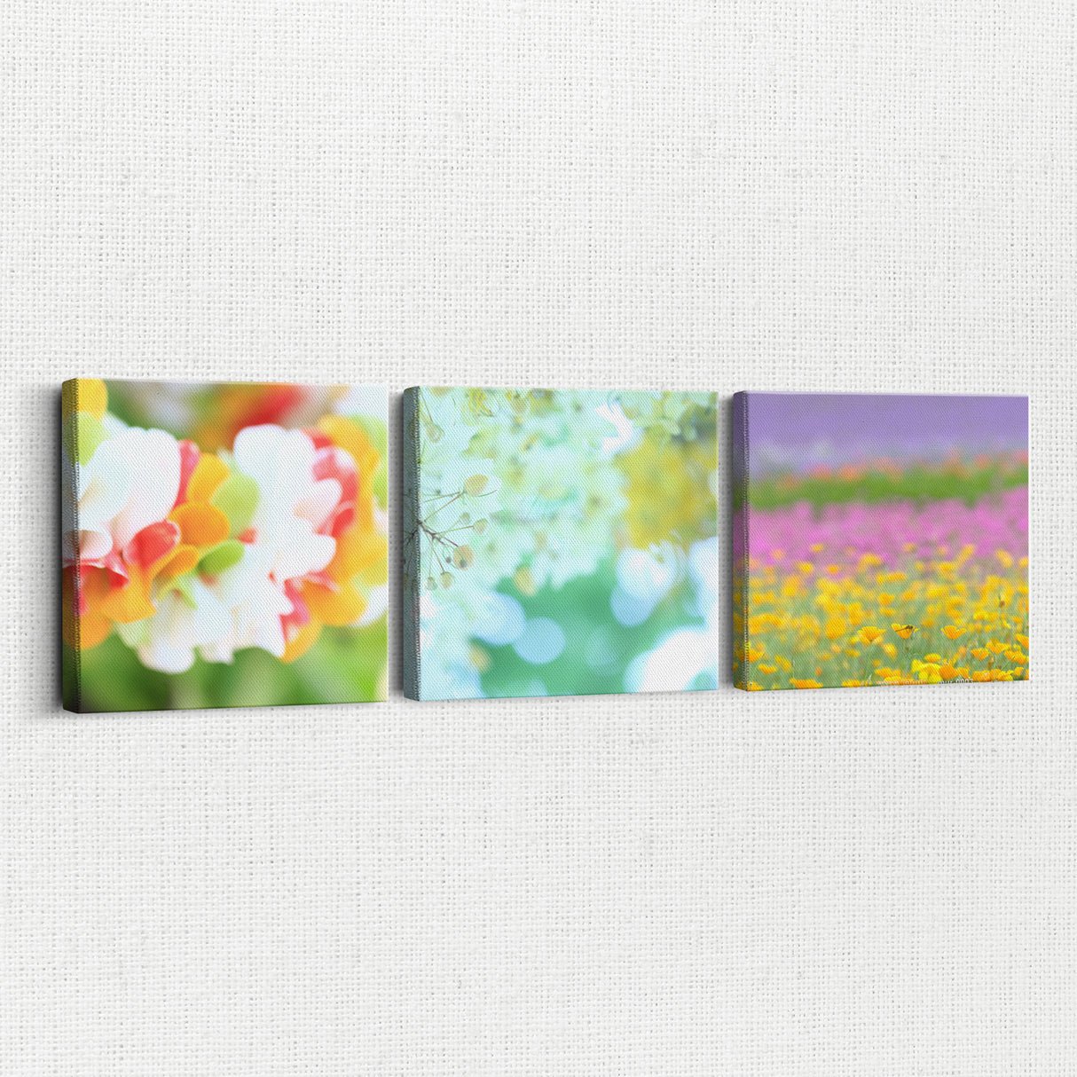 深呼吸するように視界がひらく – 花と光のスイッチアート