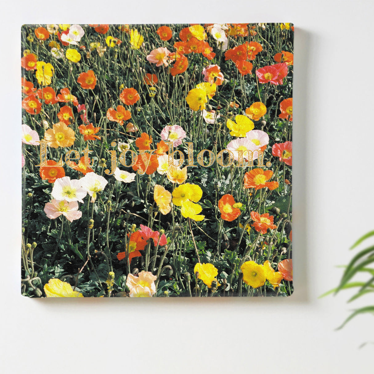 Malibu wall art interior goods art panel canvas popa-1803-021