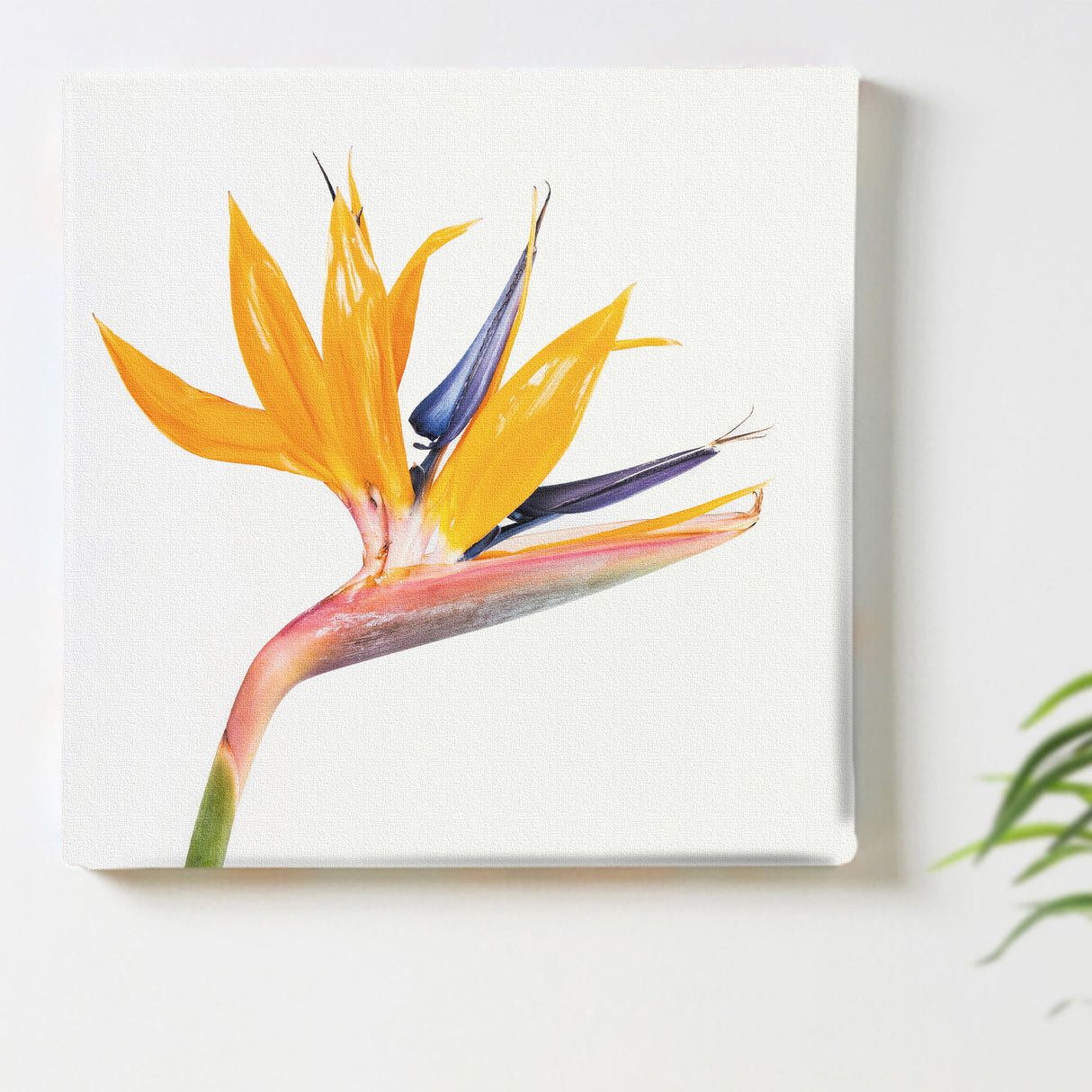 Malibu wall art interior goods art panel canvas popa-1803-021