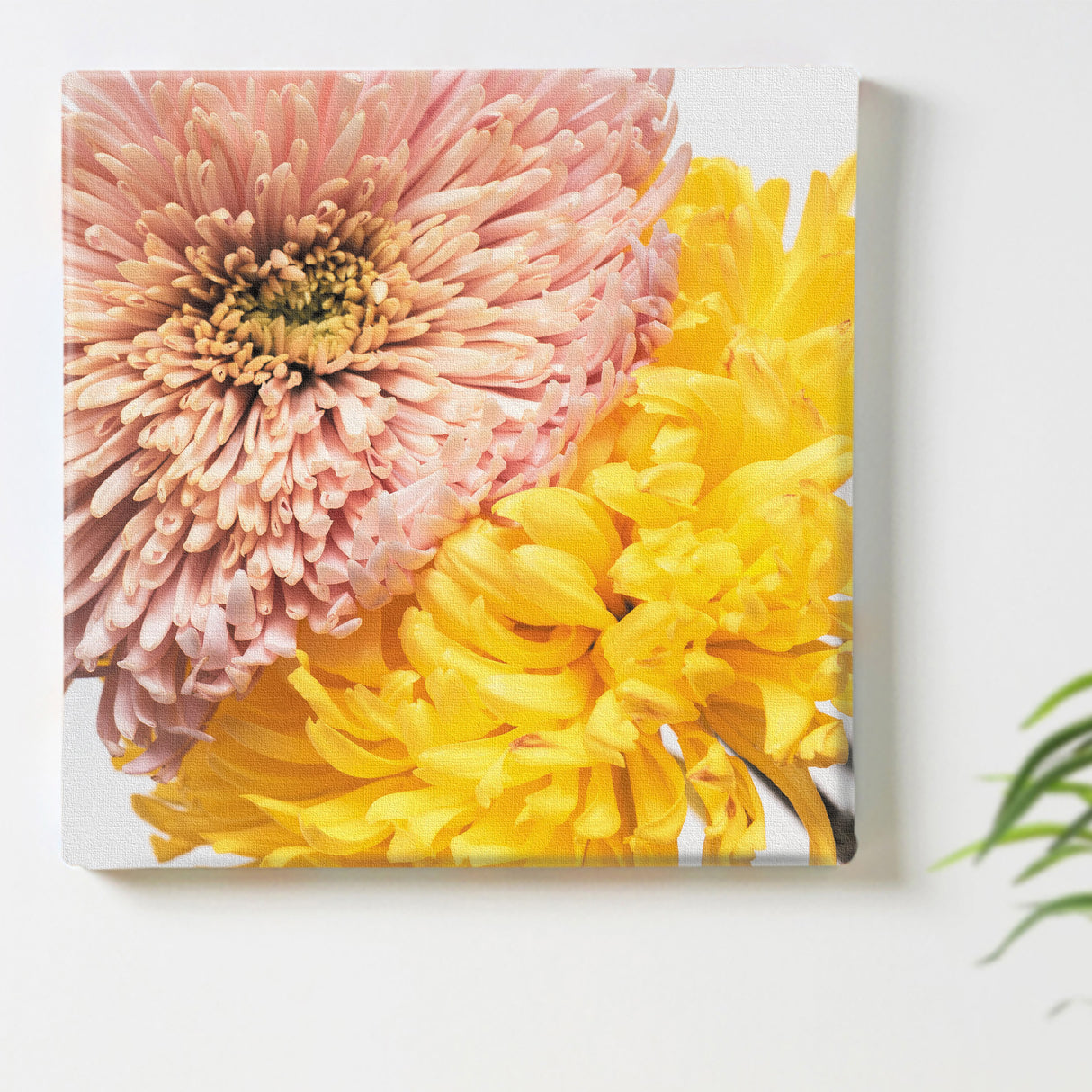 ピンクは安心感&イエローは活力