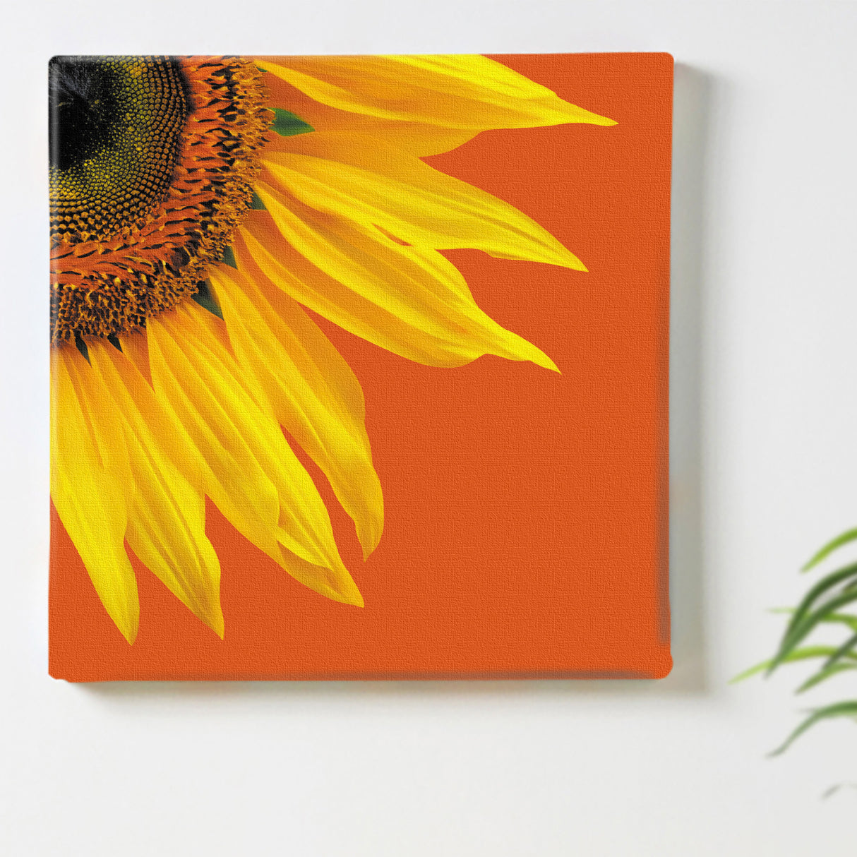 ひまわりから放たれるポジティブエネルギー