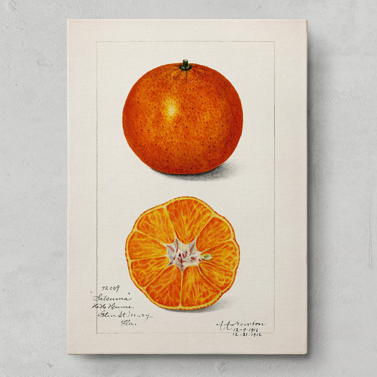 オレンジのもつ瑞々しいエネルギー