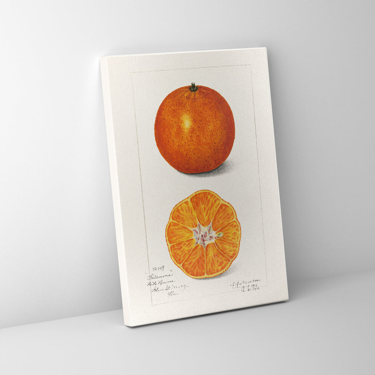 オレンジのもつ瑞々しいエネルギー