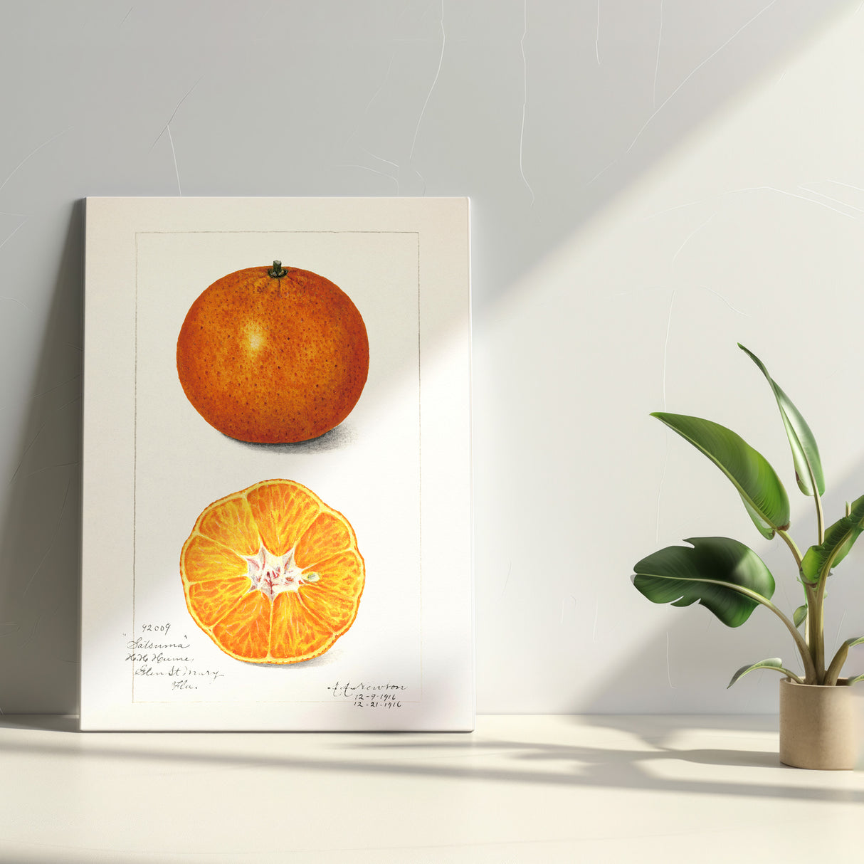 オレンジのもつ瑞々しいエネルギー