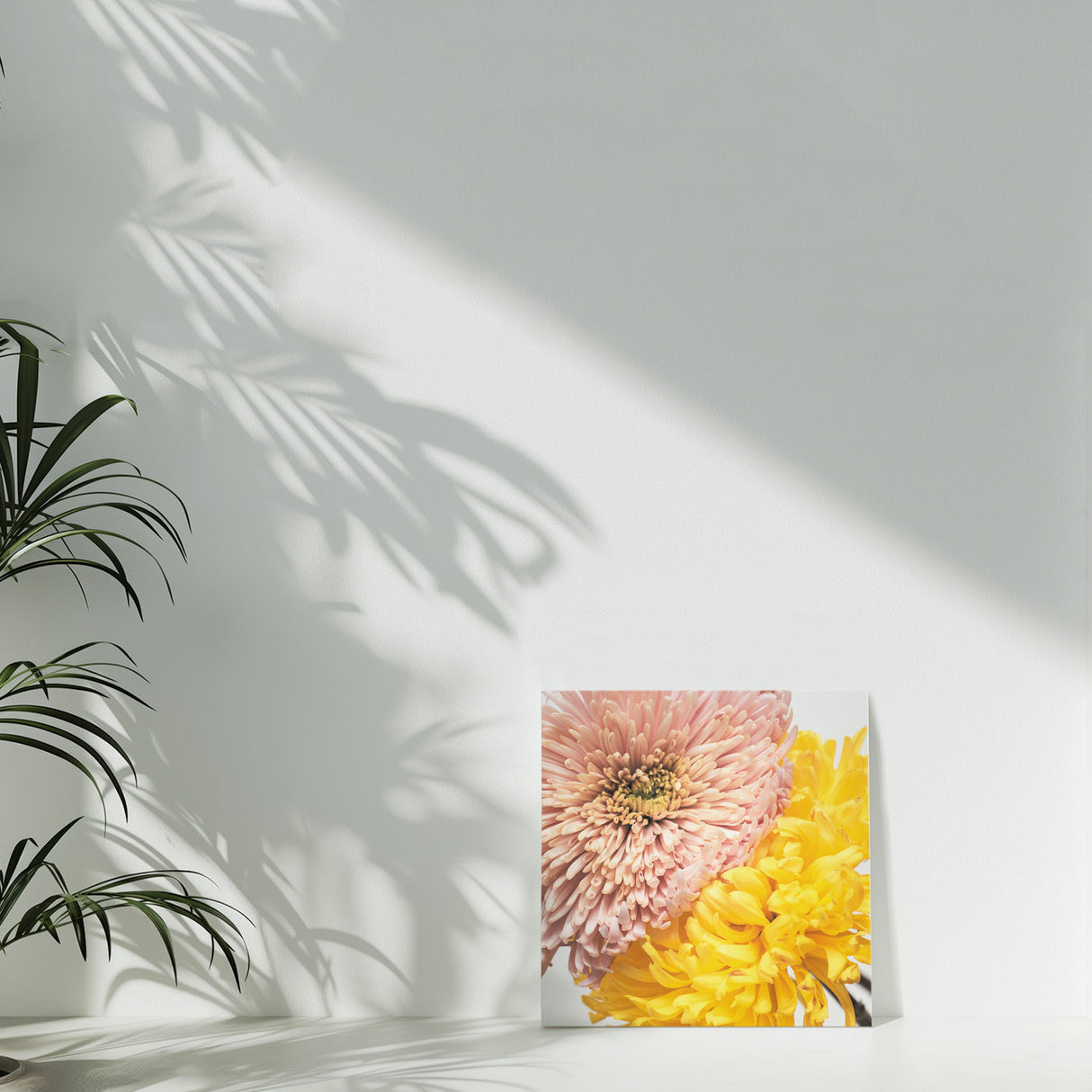 ピンクは安心感&イエローは活力