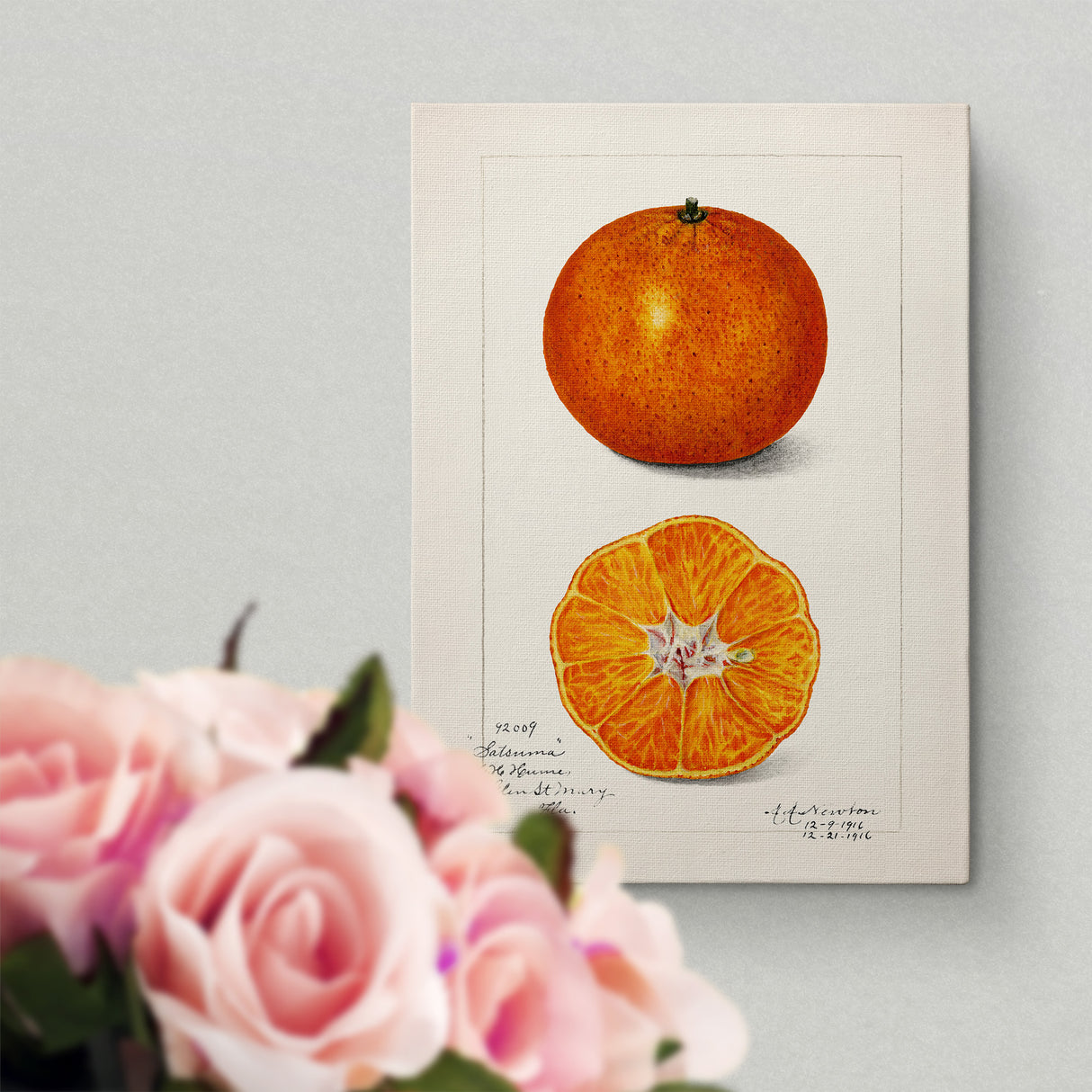 オレンジのもつ瑞々しいエネルギー