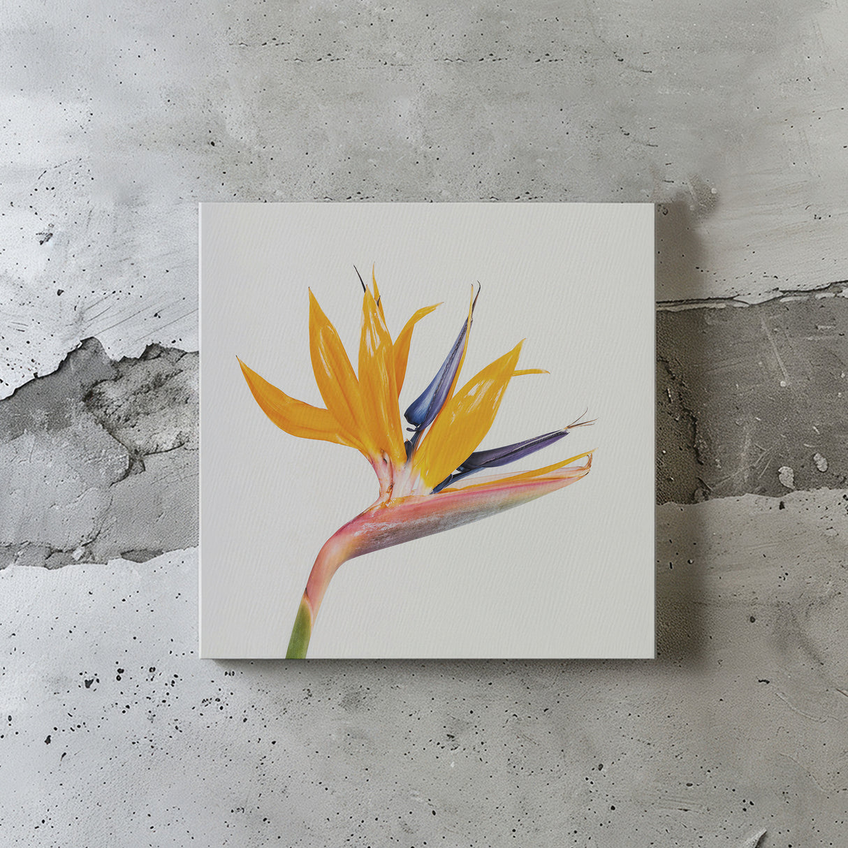 Malibu wall art interior goods art panel canvas popa-1803-021