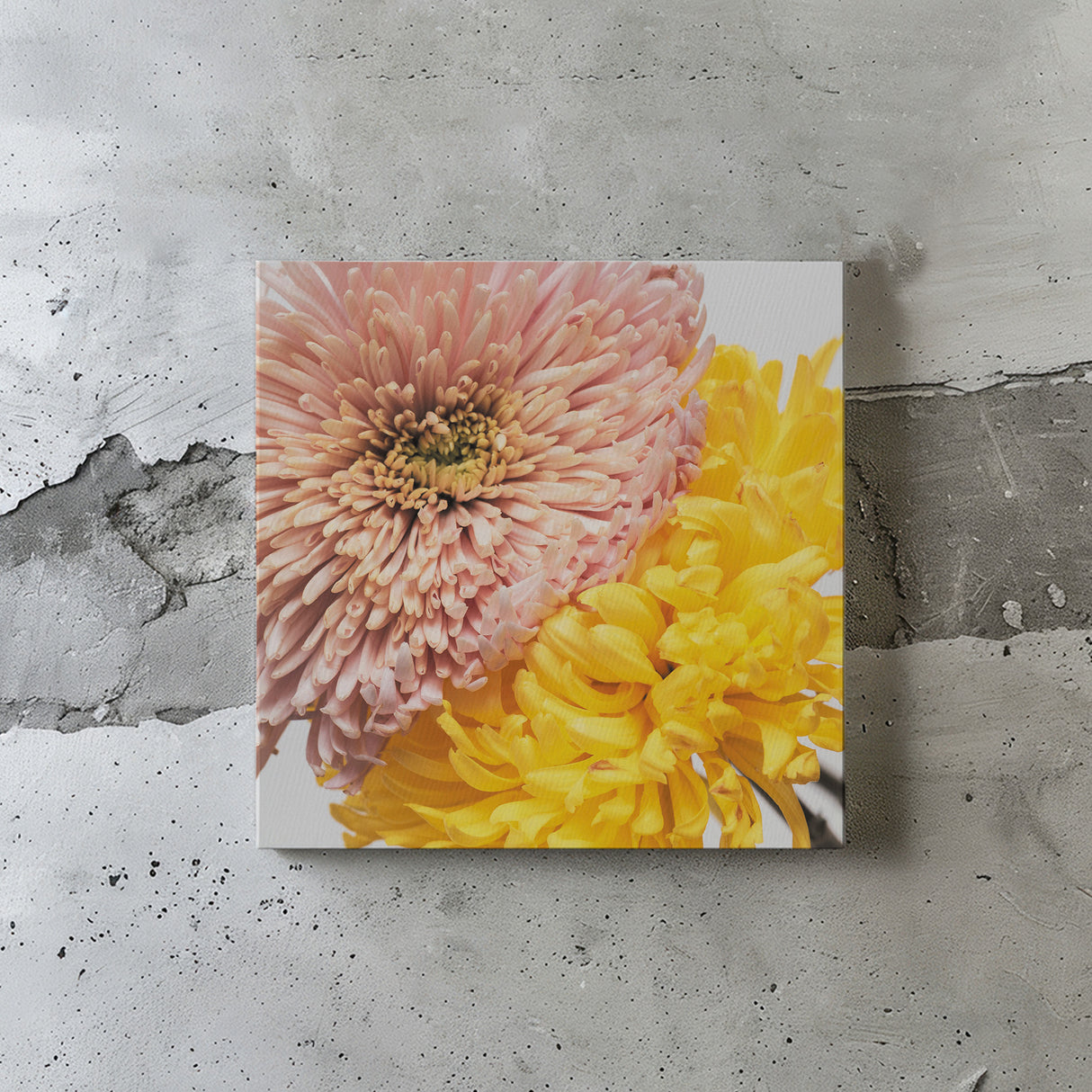 ピンクは安心感&イエローは活力