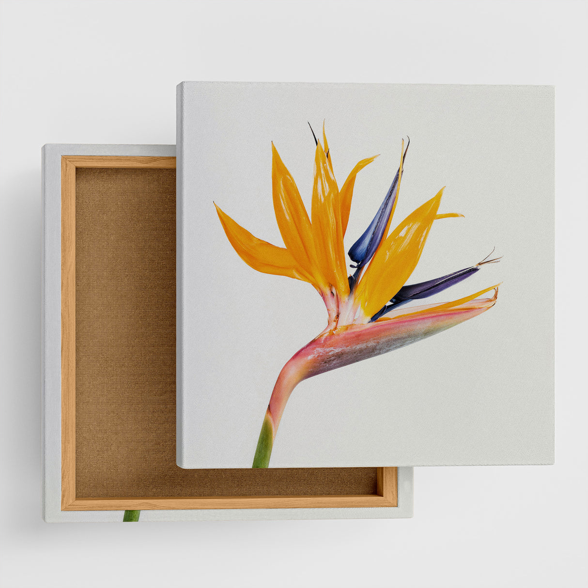 Malibu wall art interior goods art panel canvas popa-1803-021