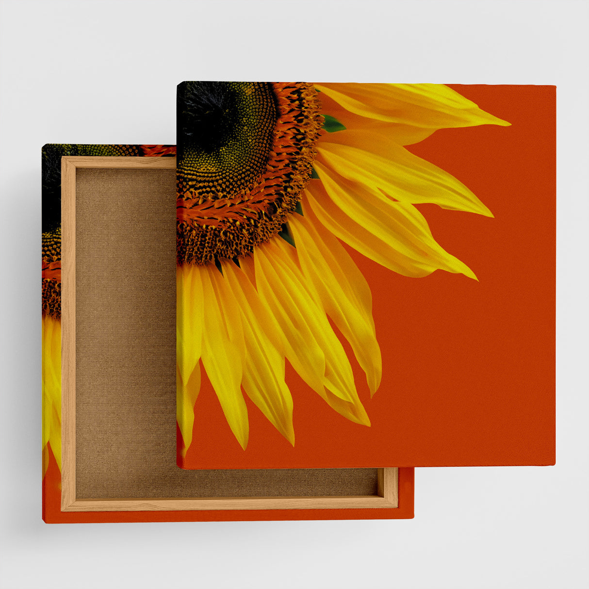 ひまわりから放たれるポジティブエネルギー