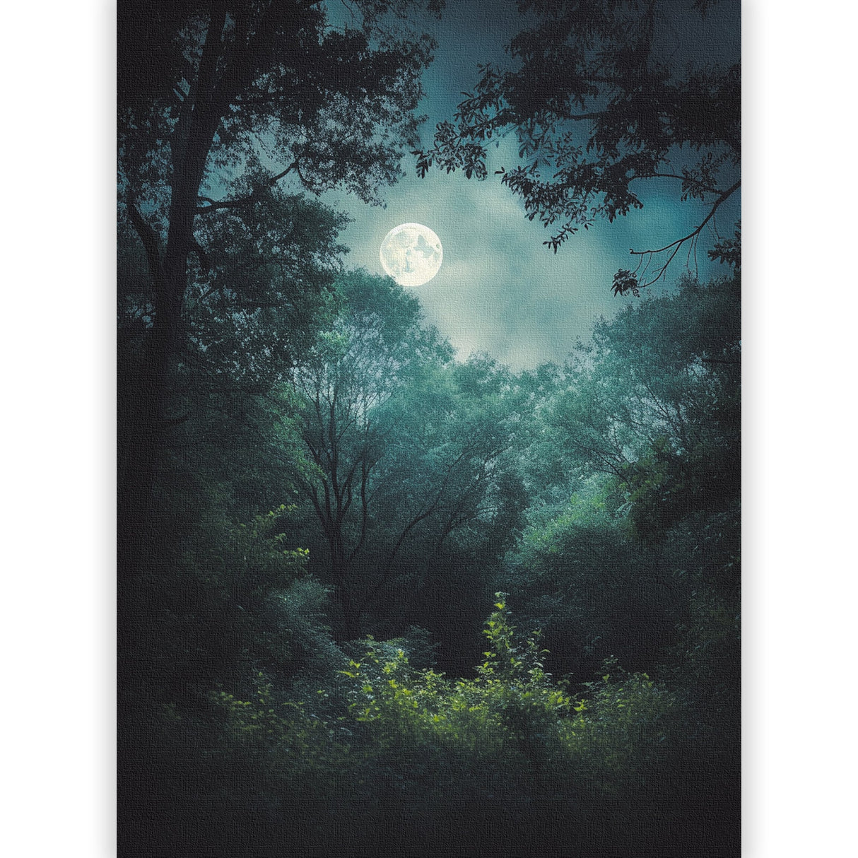 月明かりに包まれ、心が静かに深呼吸を始める – ミッドナイト・フォレスト – Midnight Forest