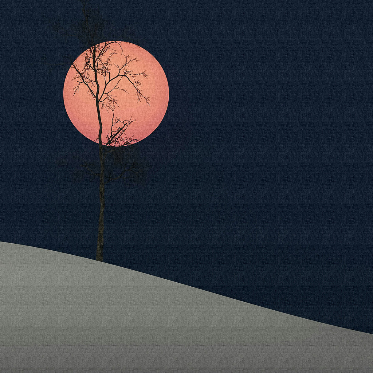 脳をクールダウン|静寂の月光