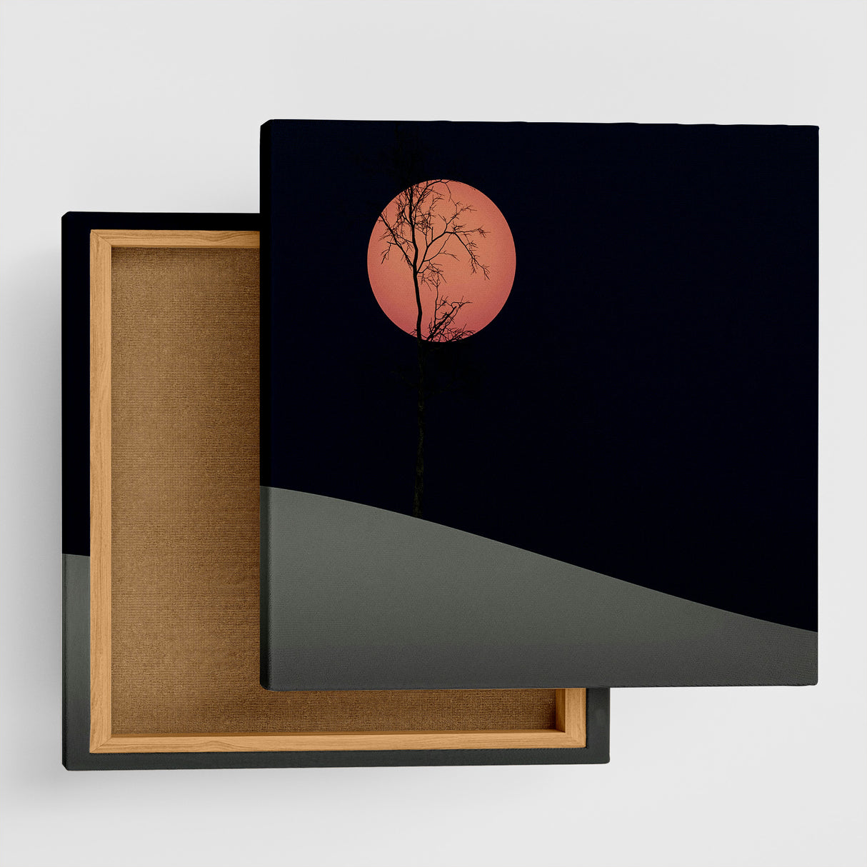 脳をクールダウン|静寂の月光