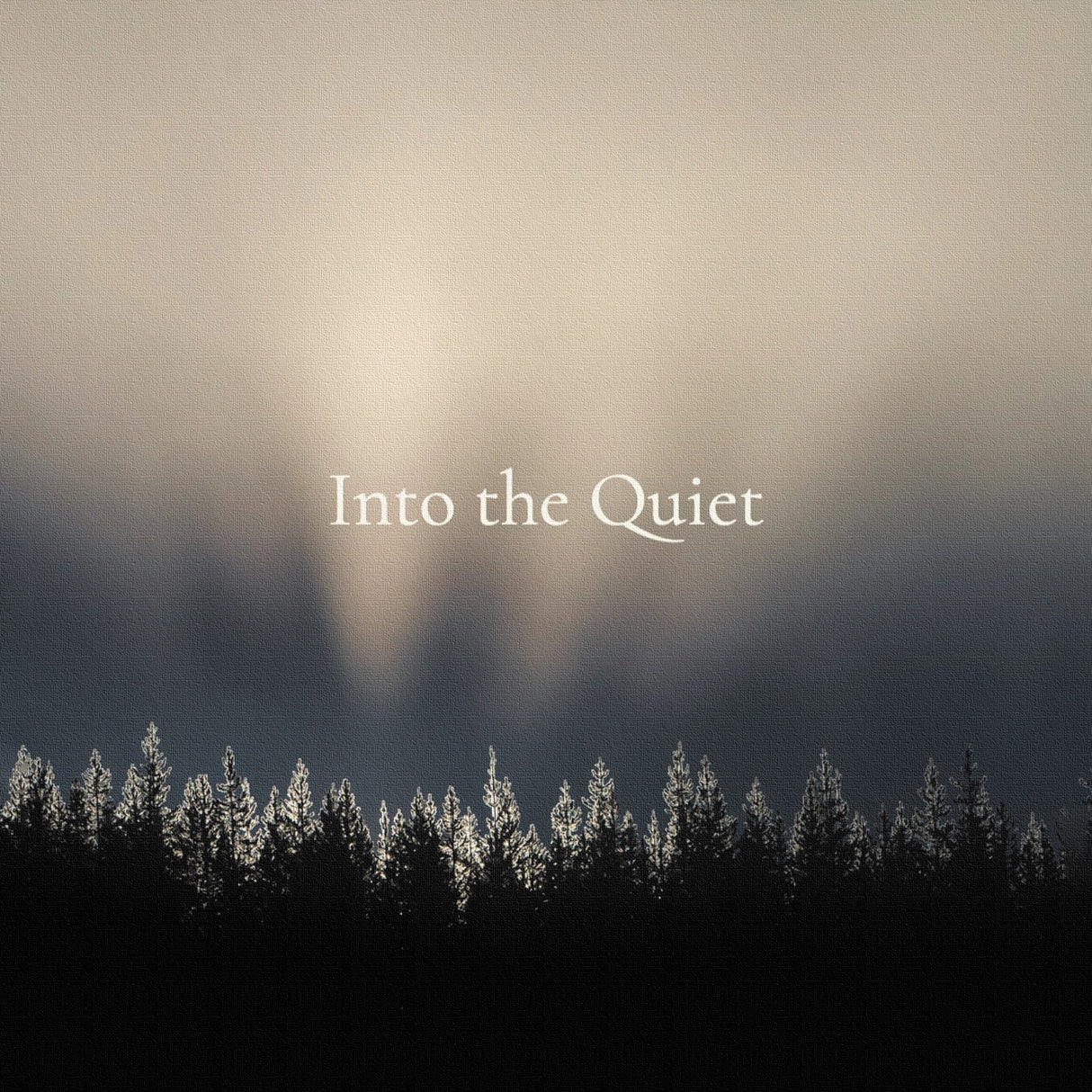 静寂の奥に、やさしいまどろみが広がっていく – イントゥ・ザ・クワイエット – Into the Quiet