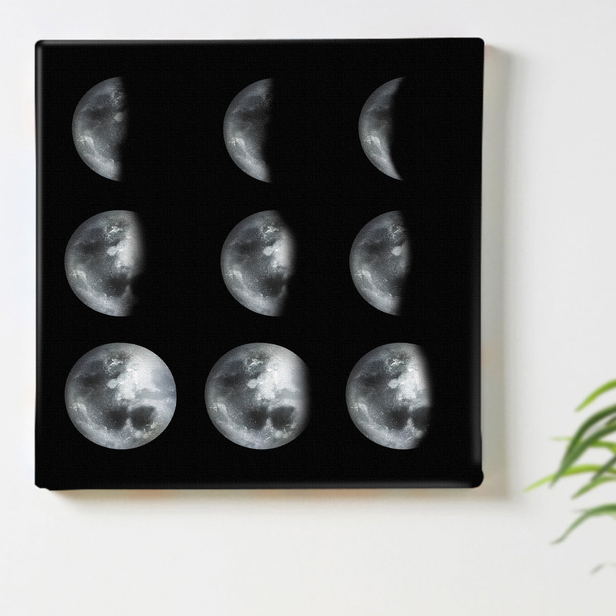 睡眠と調和する視覚リズム | Phase of Silence